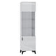 Vitrine 1 porte LED inclus Ruben Blanc
