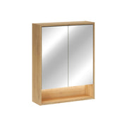 Miroir armoire murale 2 portes 60cm Edmé Bois
