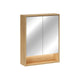 Miroir armoire murale 2 portes 60cm Edmé Bois