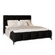 Lit coffre 160x200 sommier inclus Mira Noir