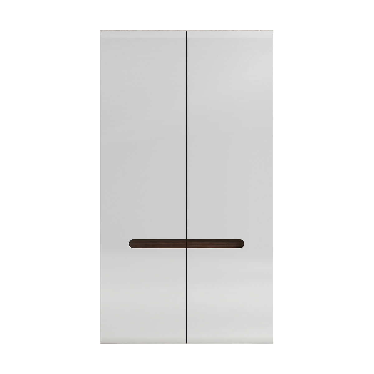Armoire 2 portes Darrel Blanc laqué et Bois