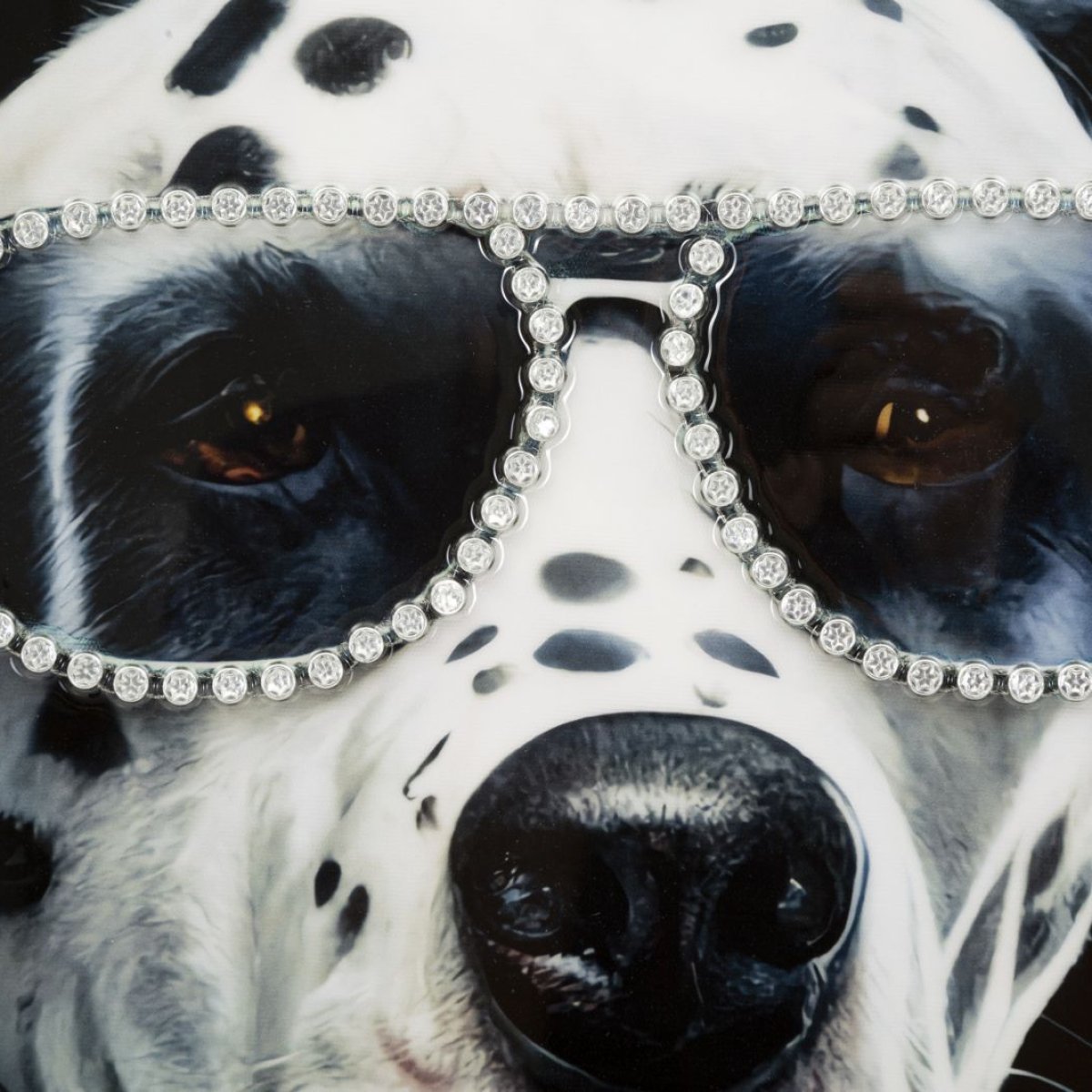 Tableau impression sur toile chien strass 53x73 cm Doggy - vue 3