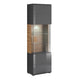 Vitrine 1 porte avec LED Jules Gris et Bois