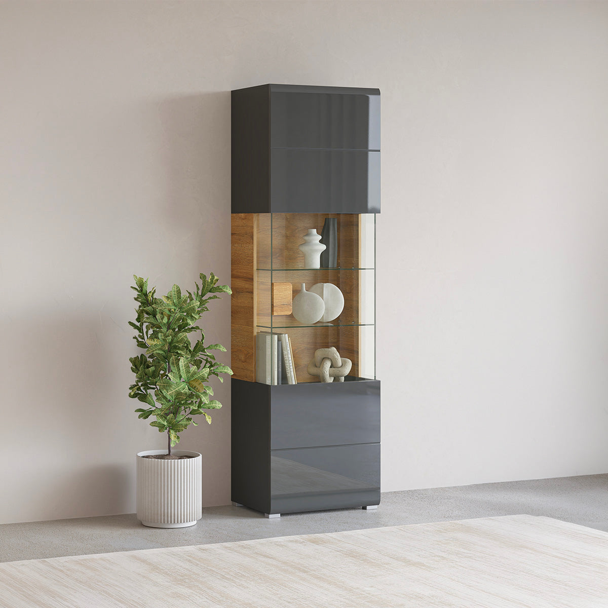 Vitrine 1 porte avec LED Jules Gris et Bois