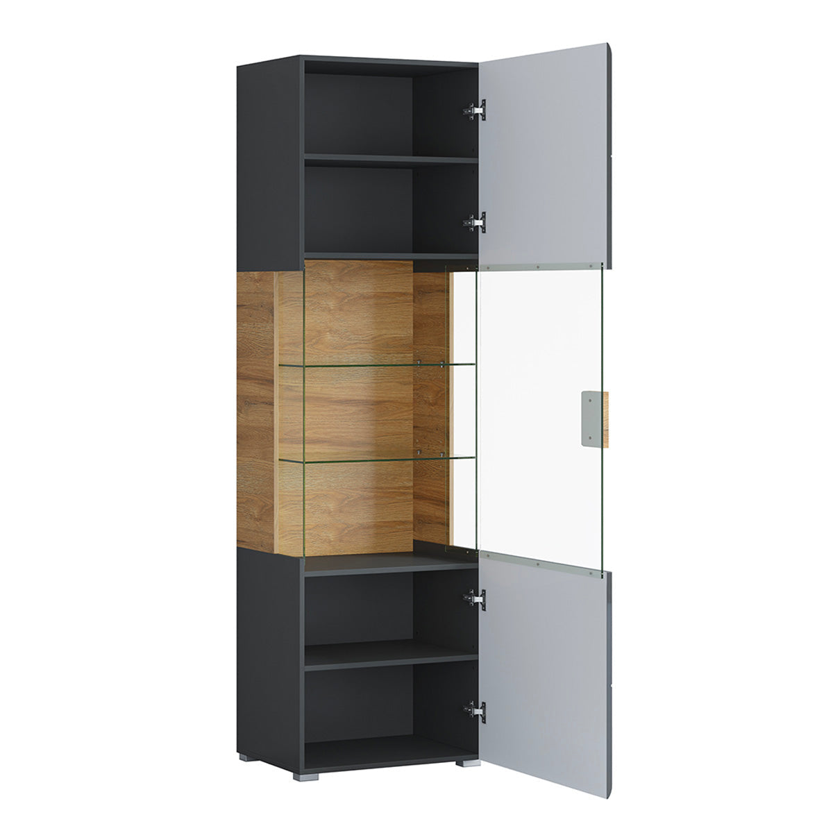 Vitrine 1 porte avec LED Jules Gris et Bois