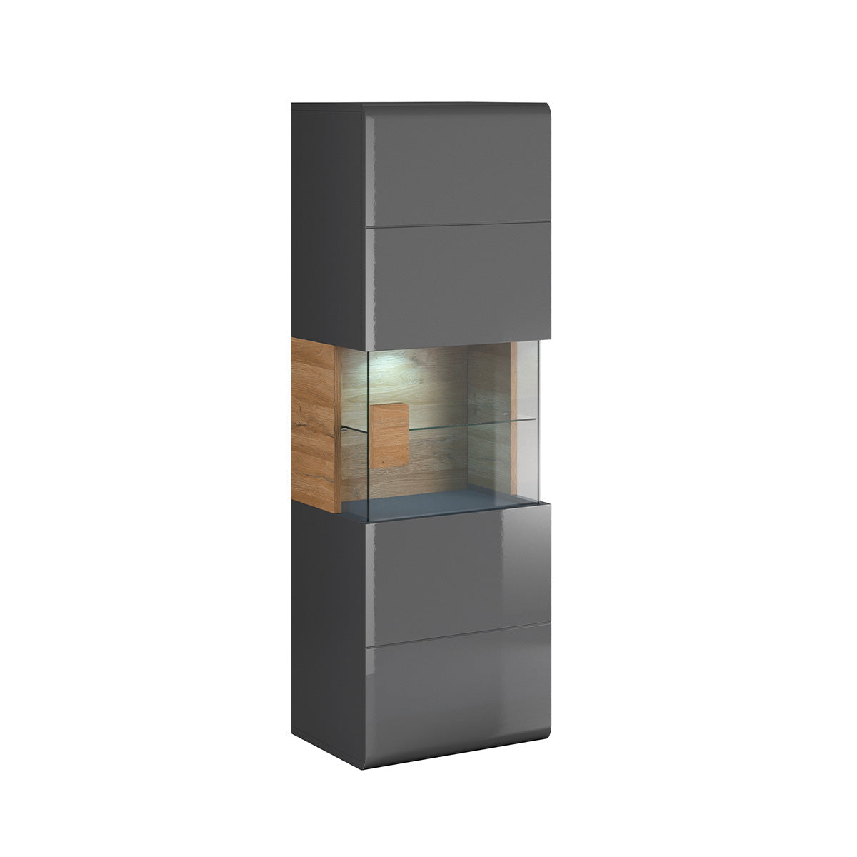 Vitrine murale 1 porte avec LED Jules Gris et Bois