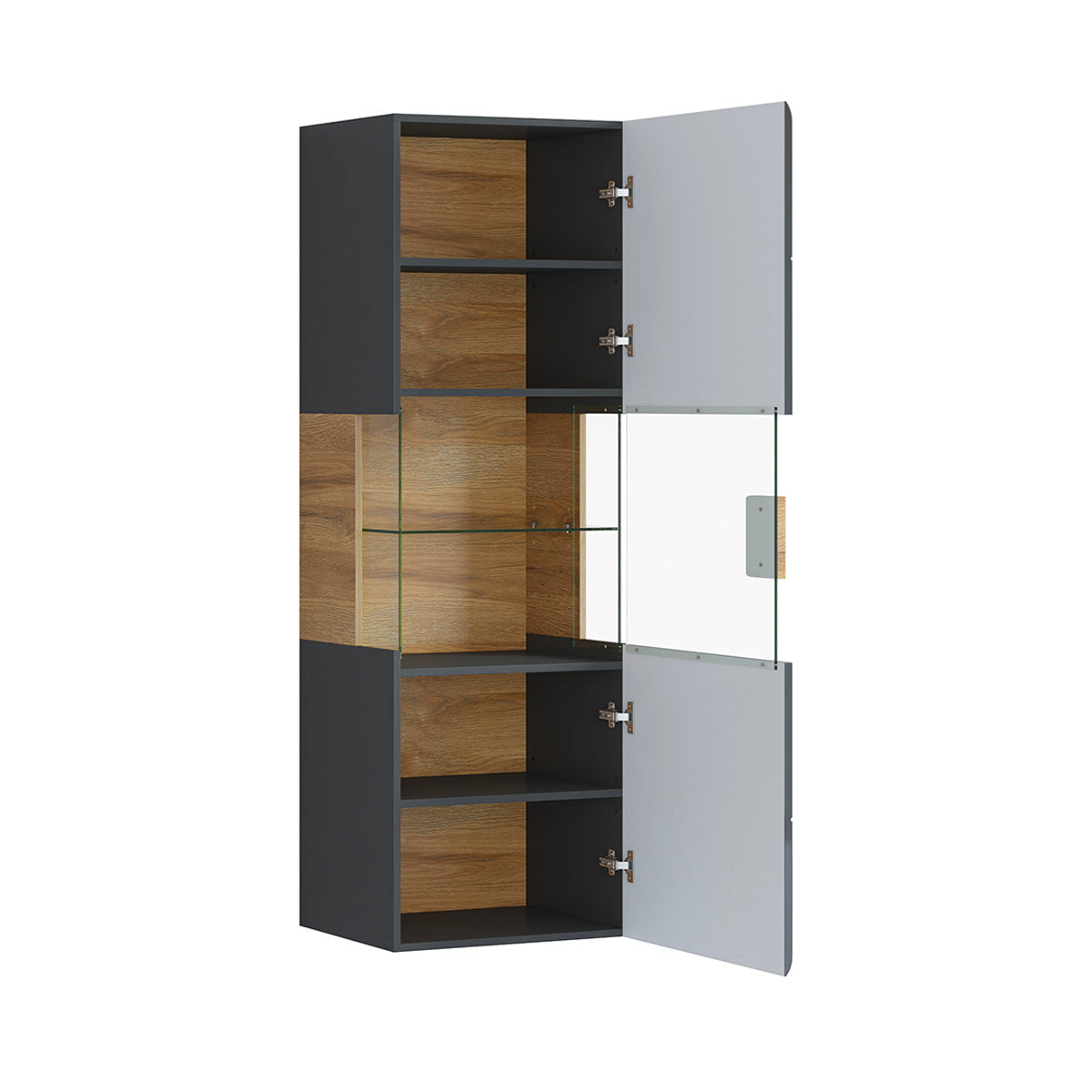 Vitrine murale 1 porte avec LED Jules Gris et Bois