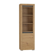 Bibliothèque 1 porte LED inclus Kasla Bois et Anthracite